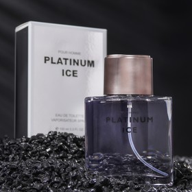 Туалетная вода мужская PLATINUM ICE, 100 мл 9381977