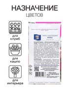 Семена цветов Пентас ланцетовидный "Микс F1", 0,003 г. в амп. - Фото 3