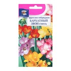 Семена цветов Фрезия гибридная «БАРХАТНЫЙ ЗВОН», смесь, 0.04 г, «УРОЖАЙ УДАЧИ» - Фото 1