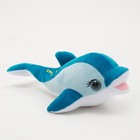 Мягкая игрушка «Дельфин», цвет синий, 36 см - фото 108706609