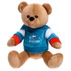 Мягкая игрушка «Медведь Патриот «Россия», 25 см - фото 10118141