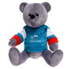 Мягкая игрушка «Медведь Патриот «Россия», 25 см - фото 319164639