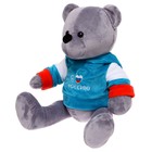 Мягкая игрушка «Медведь Патриот «Россия», 25 см - фото 24617080