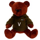 Мягкая игрушка «Медведь Патриот «V», 25 см - фото 10118150
