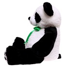 Мягкая игрушка «Панда с лентой», 75 см - Фото 3