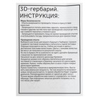 Набор для опытов «3D гербарий» - фото 21913739