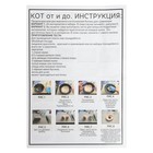 Набор для опытов «Кот от и до» - фото 24524105