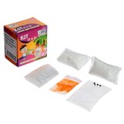 Набор для опытов «Кот от и до» - фото 24524106