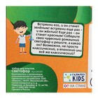 Набор для опытов «Светофор» - фото 24524110