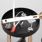 Люстра ГАЛЛОП "Клара" 3х60Вт Е27 черный - фото 21913992