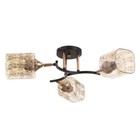 Люстра ГАЛЛОП "Клара" 3х60Вт Е27 черный - фото 21913985