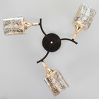 Люстра ГАЛЛОП "Клара" 3х60Вт Е27 черный - фото 21913986