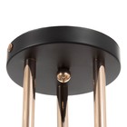 Люстра ГАЛЛОП "Клара" 3х60Вт Е27 черный - фото 21913987