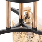 Люстра ГАЛЛОП "Клара" 3х60Вт Е27 черный - фото 21913988