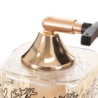 Люстра ГАЛЛОП "Клара" 3х60Вт Е27 черный - фото 21913990