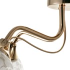 Люстра ГАЛЛОП "Лона" 5х60Вт Е27 золото 9364756