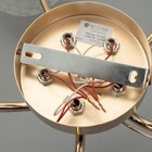 Люстра ГАЛЛОП "Лона" 5х60Вт Е27 золото 9364756