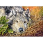 Пазл «Волчья грусть», 500 элементов - Фото 2