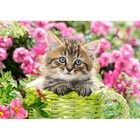 Пазл «Котёнок в саду», 500 элементов - Фото 2