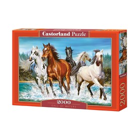Пазл «Бегущие лошади», 2000 элементов