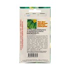 Семена Огурец «Карапуз», 10 шт. - Фото 2