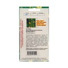 Семена Огурец «Майский», 10 шт. - Фото 2