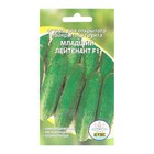 Семена Огурец "Младший лейтенант ", 10 шт - Фото 4