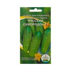 Семена Огурец «Русский самородок», 10 шт. - Фото 1