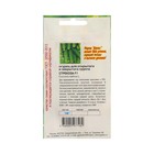 Семена Огурец «Стрекоза», 10 шт. - Фото 2