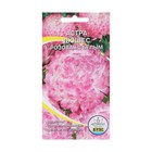 Семена Цветов Астра Дюшес Розовая с белым, 0,2 г - Фото 1