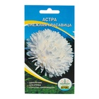Семена Цветов Астра пион. Снежная Красавица, 0,2 г - Фото 1