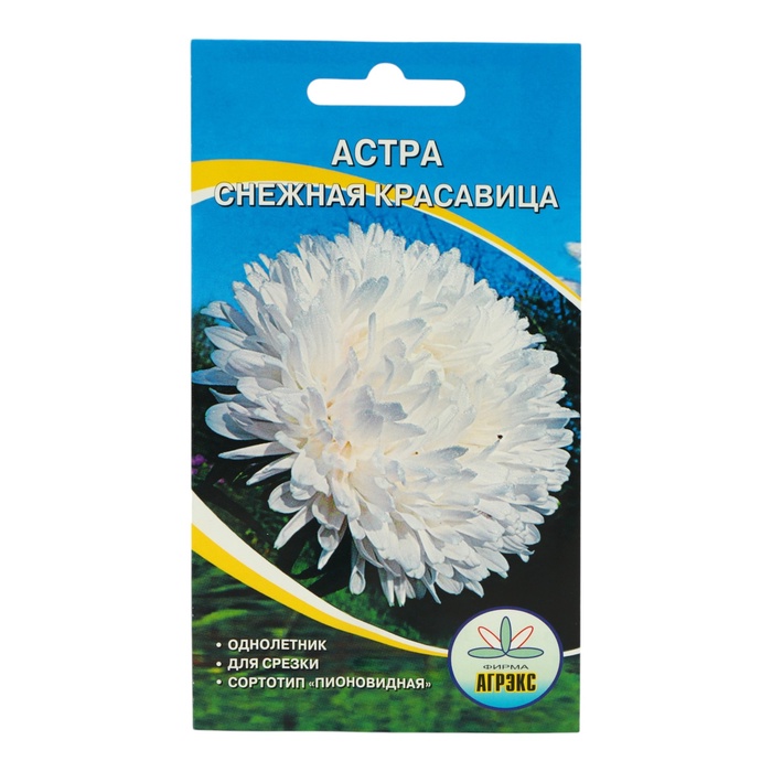 Семена Цветов Астра пион. Снежная Красавица, 0,2 г - Фото 1