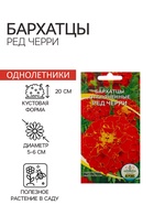 Семена Цветов Бархатцы «Ред Черри», 0.2 г - Фото 1