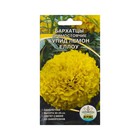 Семена Цветов Бархатцы Купид лемон еллоу, 0.2 г - Фото 1