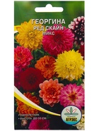 Семена Цветов Георгина Ред скайн микс, 0,2 г - Фото 5