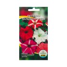 Семена Цветов Петуния Балконная смесь, 0,1 г - Фото 1