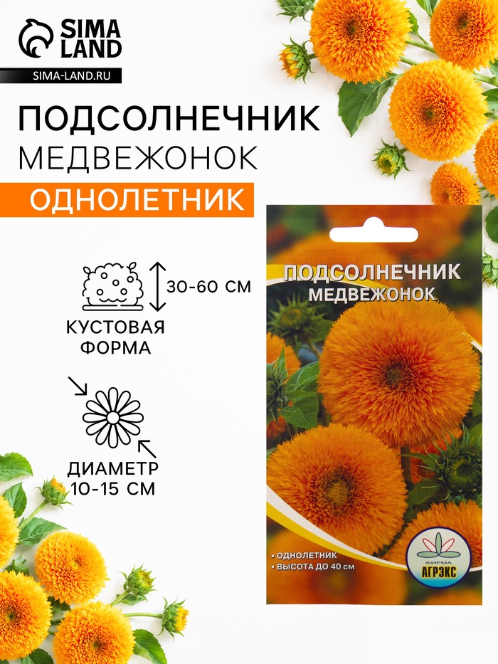 Семена цветов Подсолнечник Медвежонок, 10 шт - Фото 1