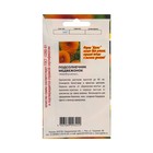 Семена Цветов Подсолнечник Медвежонок, 10 шт - Фото 2