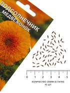 Семена цветов Подсолнечник Медвежонок, 10 шт - Фото 4