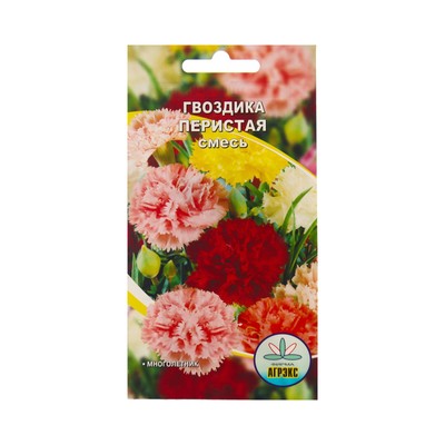 Семена Цветов Гвоздика перистая, смесь окрасок, 0.1 г