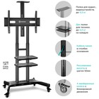 Стойка для ТВ ONKRON TS1881, напольная, 50"-86", 90,9 кг, чёрная - фото 51434794 Стойка для ТВ ONKRON TS1881, напольная, 50"-86", 90,9 кг, чёрная - фото 51434794