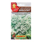 Семена Анис овощной "Айболит", 0,5 г - фото 9444570
