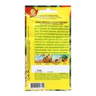 Семена Бобы овощные "Белая гвардия", 5 шт - Фото 2