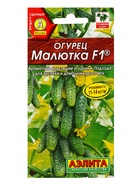 Семена Огурец "Малютка", F1, 10 шт  (артикул 9359398)  большой выбор товаров оптом и в розницу по низким ценам с доставкой