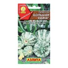 Семена Патиссон "Большая удача", 1 г - Фото 1