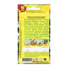 Семена Патиссон "Большая удача", 1 г - Фото 2