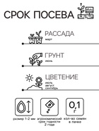 Семена Цветов Агастахе "Йоркшир", смесь сортов, 0,1 г - Фото 2