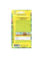 Семена Цветов Азарина "Вьющийся триколор", смесь сортов, 5 шт - Фото 6