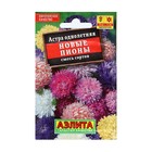 Семена Цветов Астра "Новые пионы", смесь сортов, 0,2 г - Фото 1