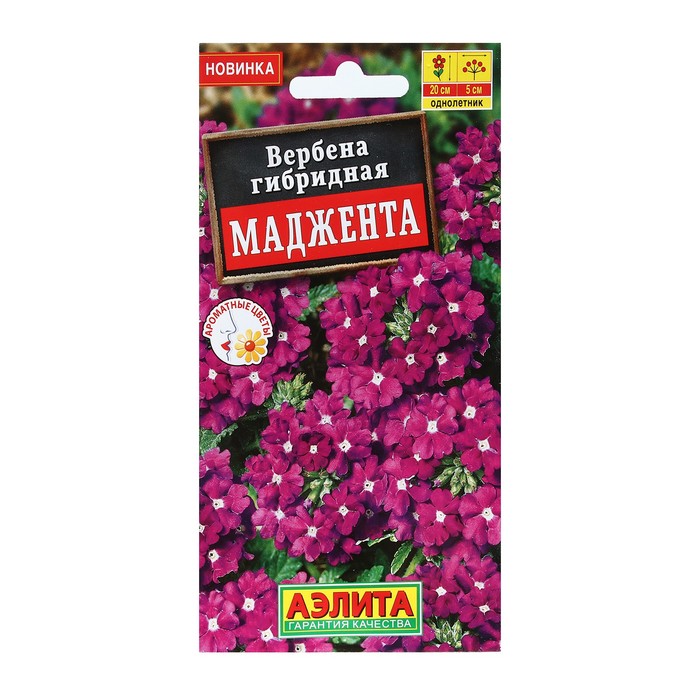 

Семена Цветов Вербена "Маджента", 10 шт